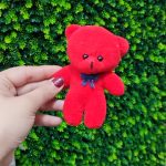 عروسک خرس تدی برای دسته گل و باکس گل