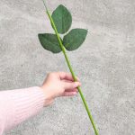 ساقه گل برگ دار - Image 3