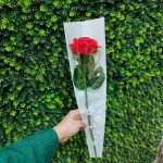 کاور تک شاخه ضد آب طرح لاو - Image 2