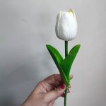 لاله خارجی رنگ نباتی - Image 2