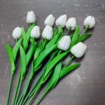 لاله خارجی رنگ نباتی - Image 4