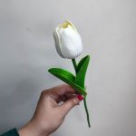 لاله خارجی رنگ نباتی - Image 3