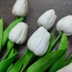 لاله خارجی رنگ نباتی