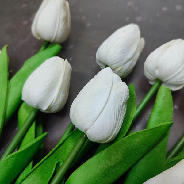 لاله خارجی رنگ نباتی